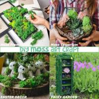 Plantas Artificiales de Colores Hierba Siempre Verde Ideal para Decoración de Hogar, Jardín, Habitación Flores Falsas - details 0