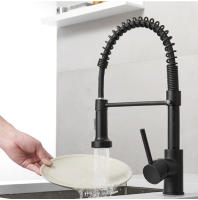 Grifo de resorte para cocina, agua fría y caliente - details 18
