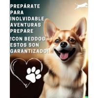 BedDog Zara - Cama para Perro con Funda Extraíble y Lavable, Sofá para Perros Mediano XL - details 4