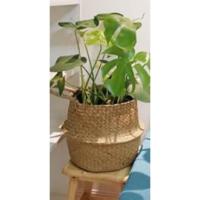 Cesta Mimbre Decoracion Naturales Cesta para Plantas Almacenaje Macetas Seagrass (Blanco) - details 10