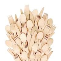 EXZACT Disposable Wooden 150 Pieces