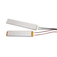 1 unidad de calentador PTC para incubadora de huevos DIY, accesorios para incubadora de huevos, elemento calefactor para accesorios de incubadora de huevos de 220V/110V/12V - details 5