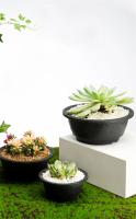Macetas de plástico redondas para flores suculentas, maceta grande y gruesa de estilo coreano, degradable, resistente a la corrosión, texturizada, 1/2 Uds. - details 3