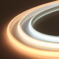 XUNATA Cinta LED Flexible de 220V COB Neón 288leds/M con Enchufe EU Impermeable para Exteriores RA90 3000K-6000K Estilo Moderno Potencia 7-9W/M - details 9