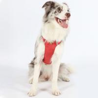 Arnés para perros transpirable y duradero, ajustable con bolsillos con cremallera, chaleco para mascotas, impermeable, reflectante, pecho para perro, caminar con el perro - details 10