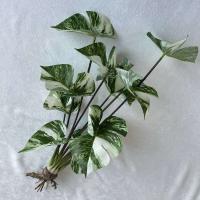 Boda falsa glicina plantas simuladas impresas en 3D, espalda de tortuga de plástico, hojas de manzana verde de bambú, decoración del hogar - details 27