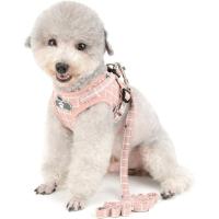 Arnés y Correa para Perros Pequeños Sin Neumáticos Ajustable Chihuahua Reflectante - details 4