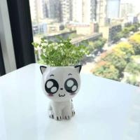 ETA de cerámica con mini gato, hermosas plantas de dibujos animados, ETA de escritorio, juguetes decorativos de bricolaje, educación científica, regalo escolar, 1 pieza. - details 8
