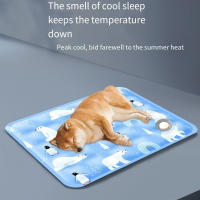 Alfombrilla refrescante para mascotas, Gel de hielo, portátil, cama fría para perros, duradera, autoagregada, cojín de hielo para mascotas, Animal - details 6