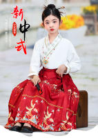 Falda con cara de caballo para niña, conjunto Hanfu, nuevo estilo Ming Tang de primavera para niños grandes, disfraz antiguo de estilo chino - details 0