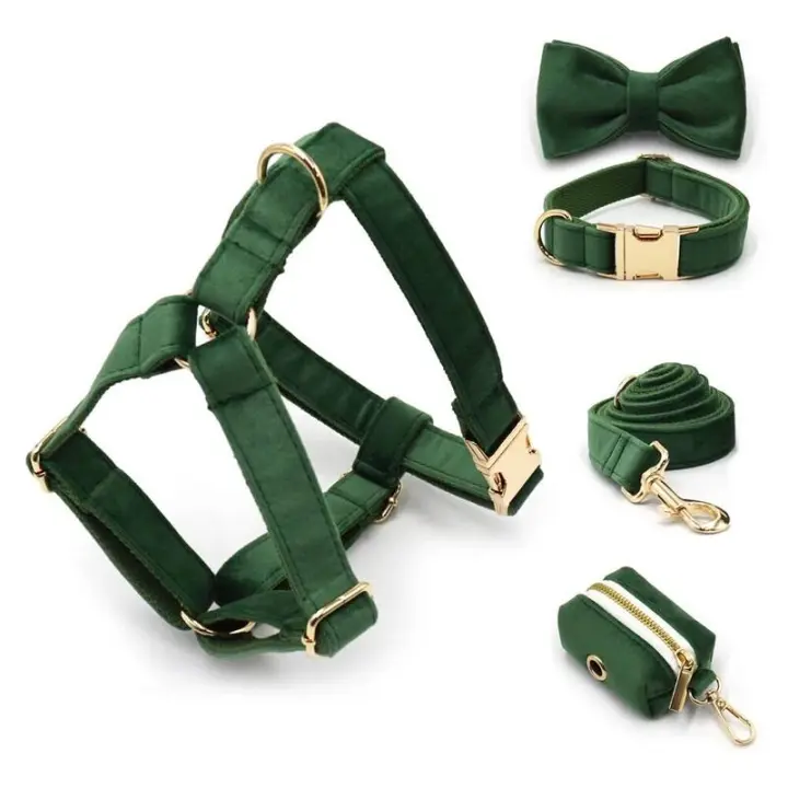 Terciopelo Verde Pavo real Grabado, Conjunto Correa de arnés Perros personalizado, Collar able sin escape para mascotas con - 1