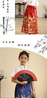 Nuevo conjunto Hanfu con cara de caballo para niñas, estilo Tang antiguo chino Ming para niños, primavera y verano diarios - details 9