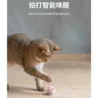 Bola de Gato de Attracción Juguete Resistente a Mordiscos y Buzamiento Automático para Alivio del Aburrimiento - details 4