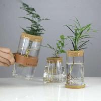 Mini ETA hidropónica de vidrio transparente, jarrones para plantas sin piso, cristalería vintage para salas de estar, hogares, oficinas, mesas, - details 5