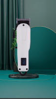 Pinzas De Pelo Recargables, Pantalla Digital LED - details 3