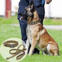 Collares tácticos con correa perro, Collar militar nailon ustable para perros medianos grandes, entrenamiento de pastor alemán y - details 0