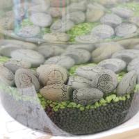 Exquisita estatuilla de Buda de piedra hecha a mano, estatua de Buda de piedra pequeña realista, artesanía de resina, maceta decorativa para terraza y patio - details 13