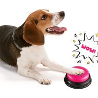 Juguete de Mascota Sonido Animal Registable Botón de Voz de Gato Herramienta de Entrenamiento de Comunicación para Perros y Gatos Interactivo Uso Indoor/Outdoor Material Plástico - details 10