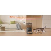comedero gato automatico