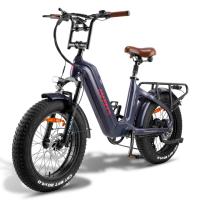 FAFREES F20 Master Bicicleta Eléctrica, Marco de Fibra de Carbono, Motor de 500W, Batería de 48V 22.5Ah, Neumáticos de 20*4,0 Pulgadas de Espesor, Frenos hidráulicos dobles, SHIMANO de 7 Velocidades, Pantalla LCD en color, Aurora Gris - details 0