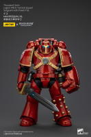 JOYTOY Figura de Acción Horus Heresy Legión de Mil Hijos del Tacticante MK IV - details 3