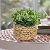 Plantas Artificiales de Eucalipto Pila de Césped Tejida de 11cm Material PE Decoración del Hogar - details 2