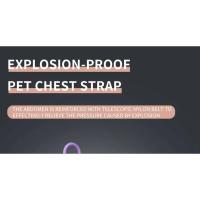 Correas de PVC para Perros Juego Trasero de 4 Piezas, Resistente a Mordiscos, Impermeable, Adecuado para Perros Grandes y Pequeños, Para Pecho y Espalda - details 4