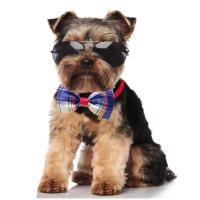Corbata de Perro y Gato con Diseño de Cuadro Ajustable 20 Piezas Accesorios de Aseo para Mascotas Pequeñas - details 0