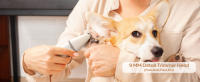 Kit de cuidado de cortapelos para perros con amoladora de uñas, cortapelos eléctrico inalámbrico 4 en 1, cortapelos USB de bajo ruido para perros, gatos, cuidado de patas, ojos, orejas, cara, pelo enredado - details 4