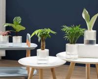 Planta de estilo minimalista para interior y jardín, maceta jugosa para exteriores, maceta autocebante, plan colgante de plástico para balcón - details 6