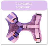 Conjunto arnés perro, chaleco malla ustable cachorro, Collar correa de plomo para caminar, perros pequeños, gatos y gatitos - details 7