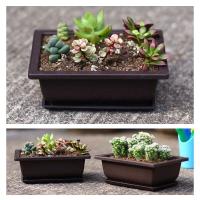 Plantas jugosas cuadradas, ovaladas, hexagonales, bonsái, pequeño éter de plástico en ETA, imitación cerámica morada, venta al por mayor - details 7