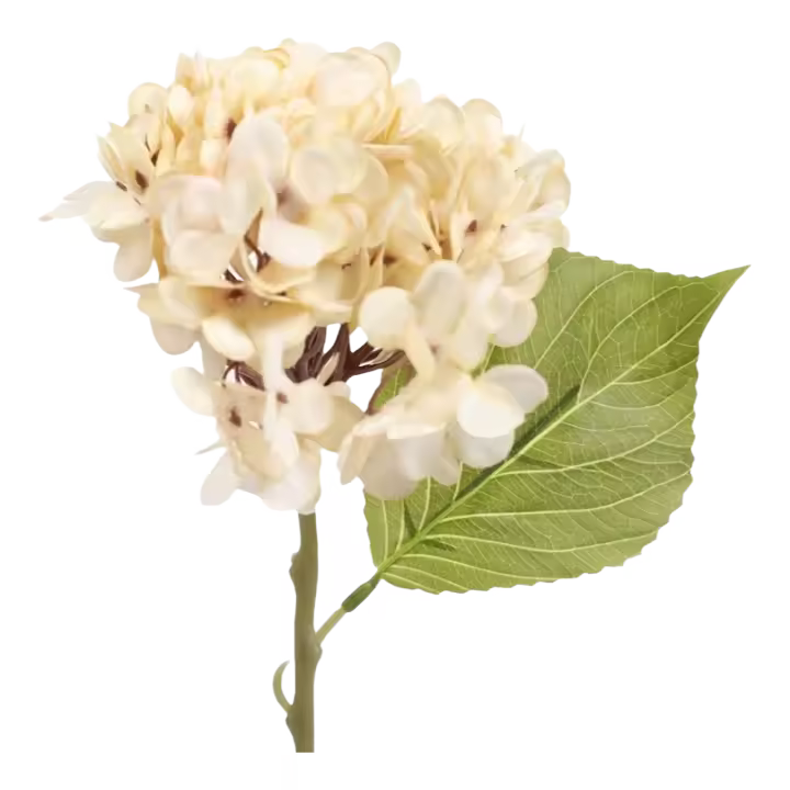 Decoración del Hogar con Flores Artificiales de Hidragena 5pcs Accesorios para Boda y Jardín - 1