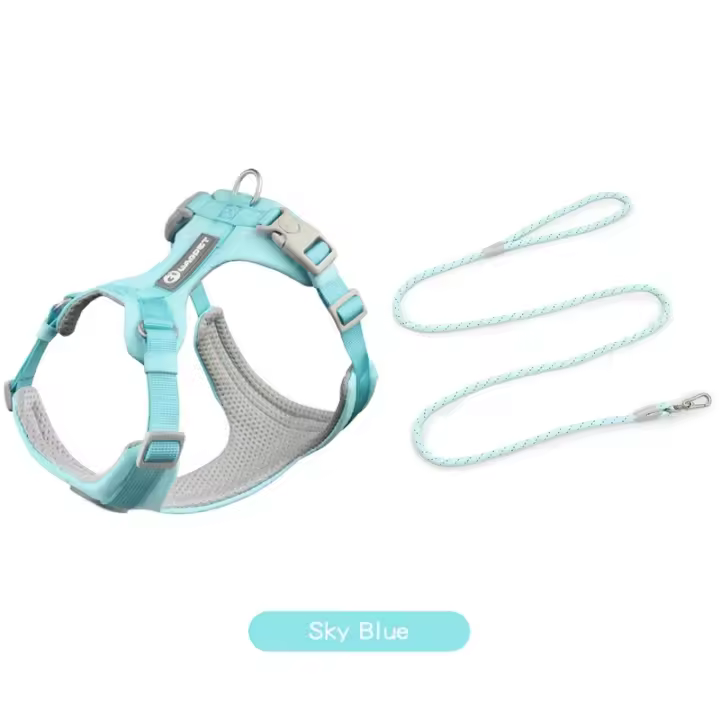 Juego de arneses con correas para perros y gatos, chaleco de entrenamiento al aire libre, ideal como regalo para perros pequeños - 1