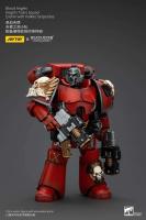 JOYTOY 40k 1/18 Figuras de acción Anime 12cm Blood Angels Angel's Tears Squad - details 4