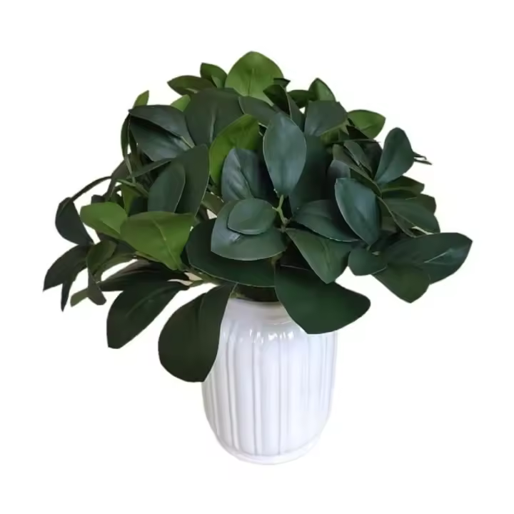 Plantas artificiales de bellota Peperomia, 30cm, hojas de eucalipto, plantas verdes, arbustos artificiales de alta calidad, plantas de oficina - 1