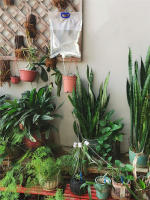 Bolsa de riego por goteo automático, gotero de riego de plantas ajustable, dispositivo de autorriego, jardinería perezosa, 3L/3,5l/6L - details 22