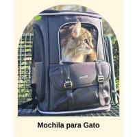 Mochila gato