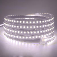 Tira de luces LED impermeable, 220V, 2835, alto brillo, 120led/m, Flexible, para cocina, jardín al aire libre, con enchufe de la UE - details 6