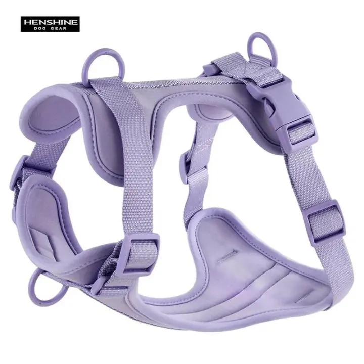 Correa Doble de PVC, commode juego de arnés para Perros transpirable, Collares, arneses y Correas estables para el pecho - 1