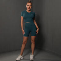 Conjuntos de Yoga para Mujeres Pantalones Deportivos sin Costuras, Tops Cortos - details 1