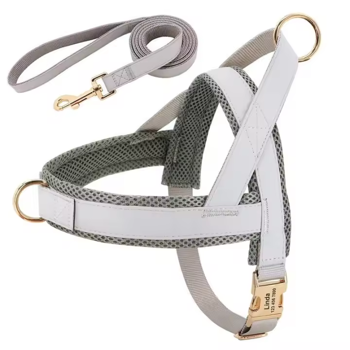 Collar de cuero para Perros, juego de Camisas, Chaleco de Malla para mascotas, Identificación personalizada, cables para Perros Pequeños, medianos y grandes - 1