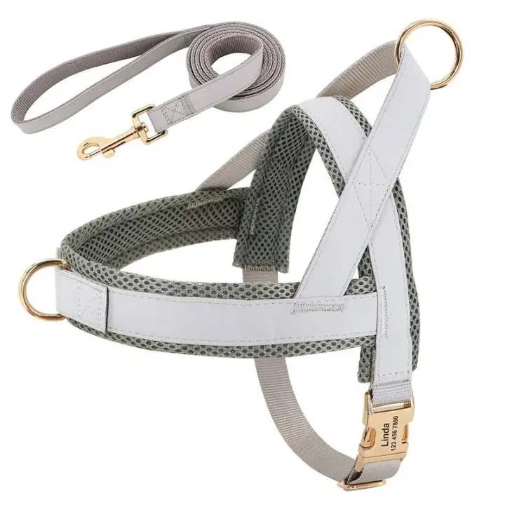 Collar de cuero para Perros, juego de Camisas, Chaleco de Malla para mascotas, Identificación personalizada, cables para Perros Pequeños, medianos y grandes - 1