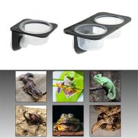 Reptiles y anfibios lagarto Gecko ventosa cuencos de alimentación contenedor de alimentos con tazón para alimentación de Reptiles y agua-B - details 1