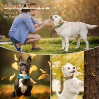 Collares de Nylon Suaves Acolchados para Perros Identificación de Mascotas Duradera - details 22