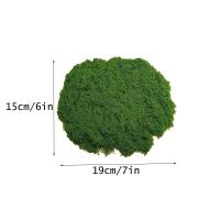 Musgo decorativo artificial para acuario artístico hecho a mano, 50/200g - details 12