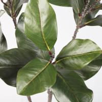 Planta de Magnolia Artificial grande, hojas de goma hechas a mano, rama de árbol de Magnolia simulada, 2 tenedores, plantas artificiales de 110cm - details 5