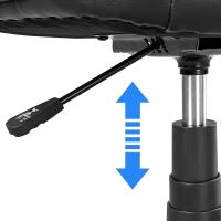 Silla de Oficina Ajustable en Altura Ergonómica con Cojín de Asiento y Brazo de Apoyo - details 4