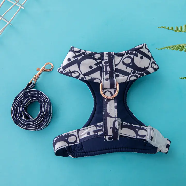 Chaleco de arnés para mascotas, cuello de malla ajustable para perros pequeños y medianos, accesorios, juego de dara cachorros - 1