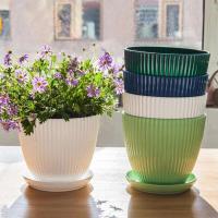 Flor de plástico planta jugosa circular ETA, raya vertical ETA con bandeja, decoración de escritorio para el hogar y la oficina - details 5